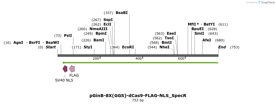 163966_map