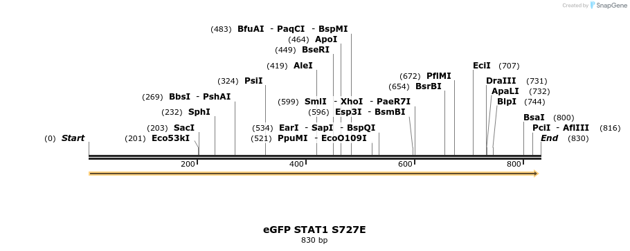 163986_map