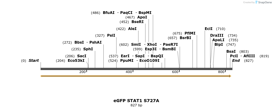 163989_map