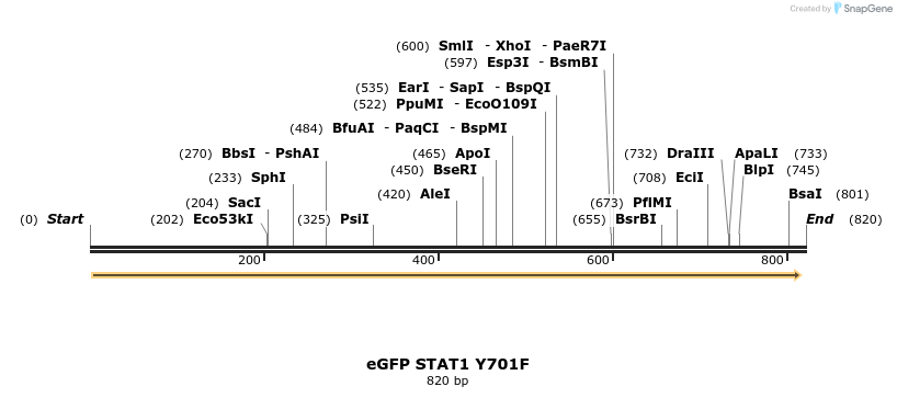 163991_map