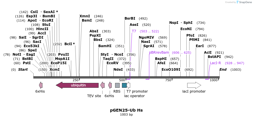 164012_map