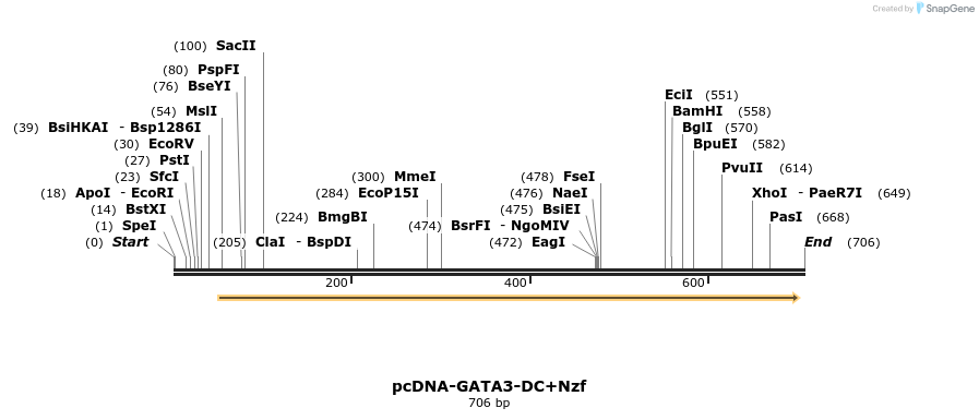 16403_map