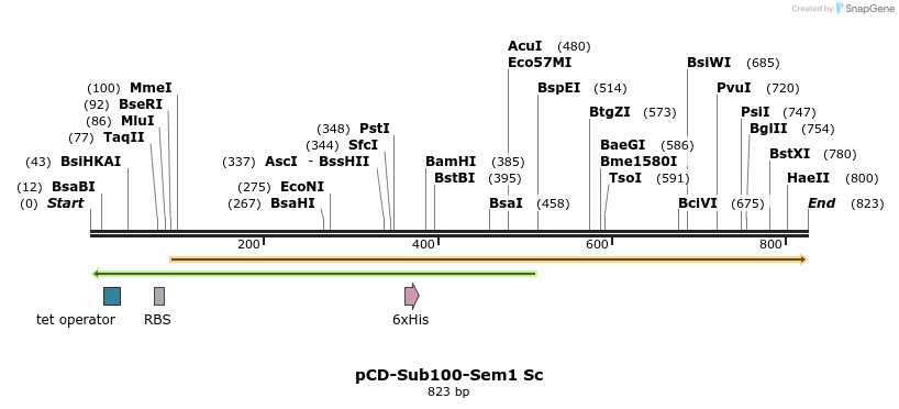 164046_map