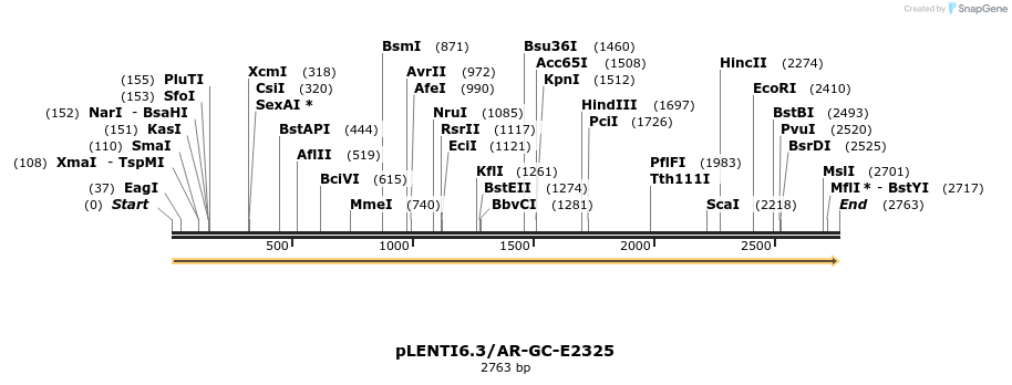 164051_map