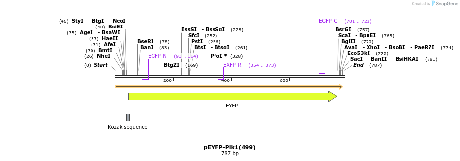 164078_map