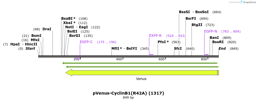164080_map