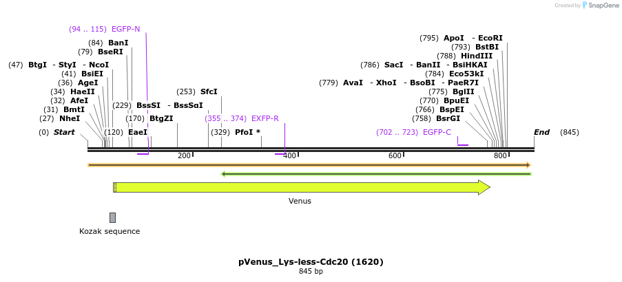 164083_map