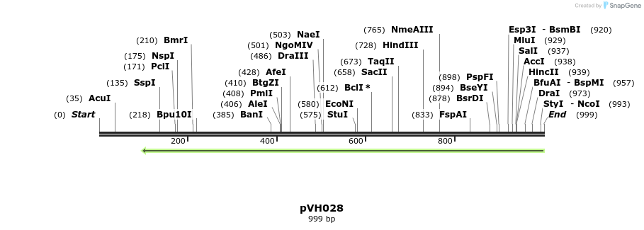164084_map