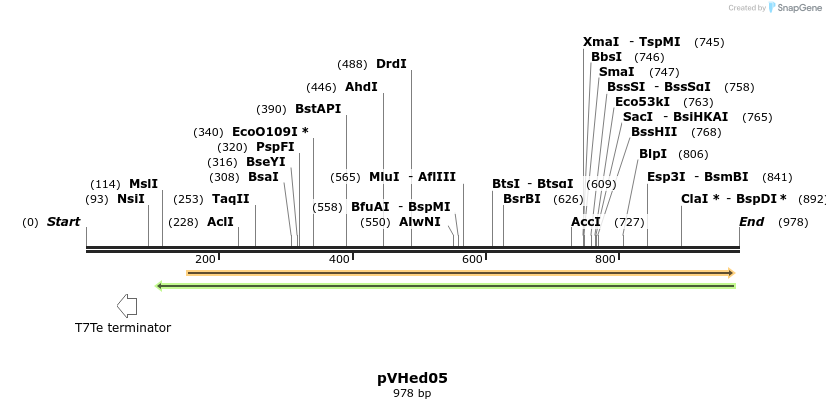 164088_map