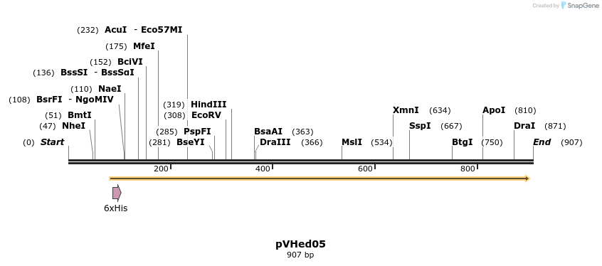 164089_map