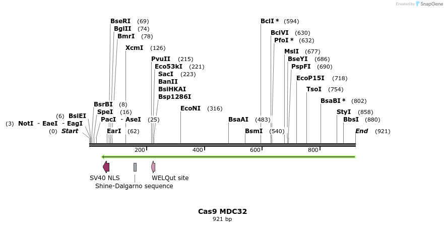 164092_map