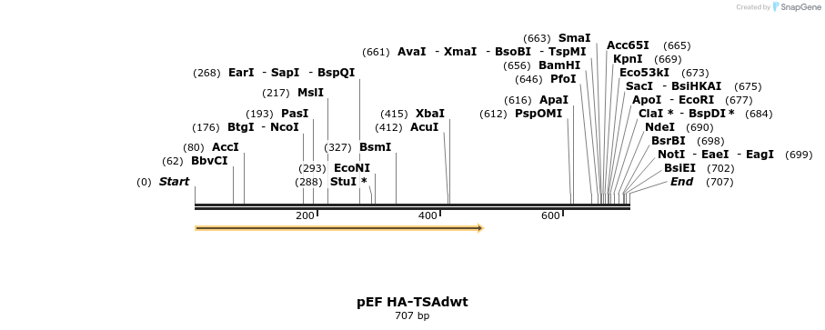 164097_map