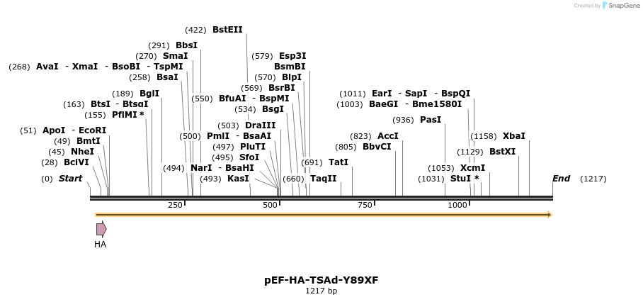 164104_map