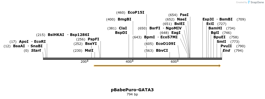 16411_map