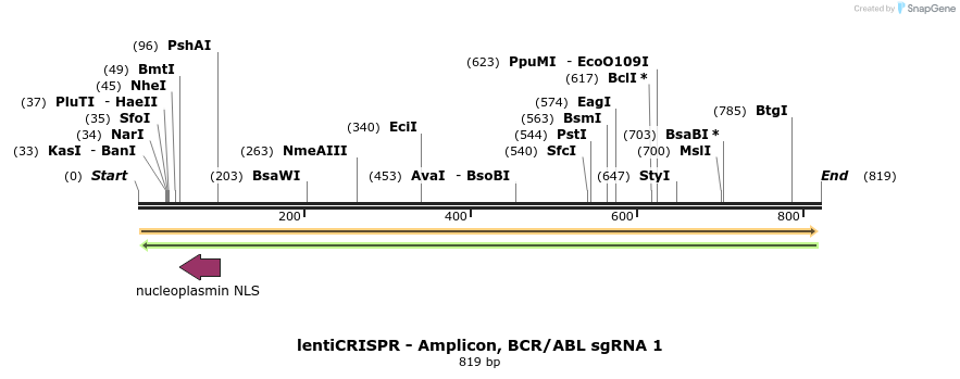 164111_map