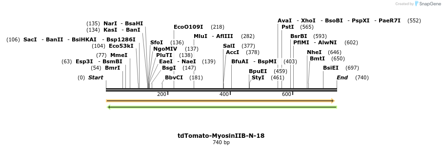 164116_map