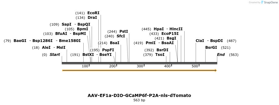 164121_map