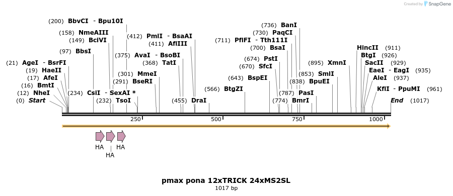 164123_map
