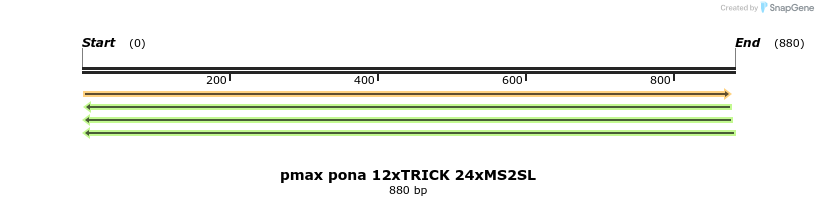 164125_map