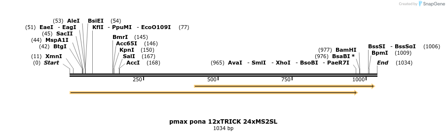 164127_map