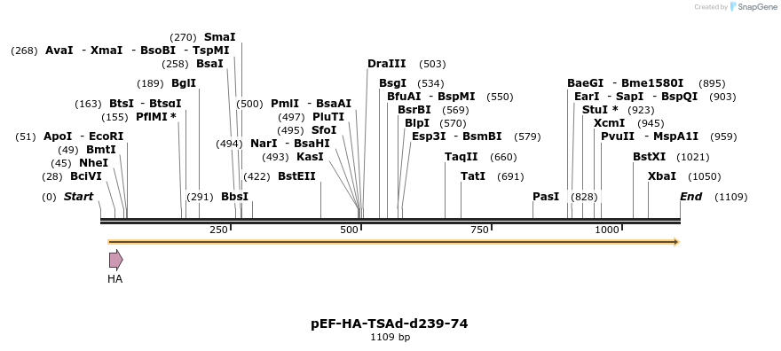 164128_map