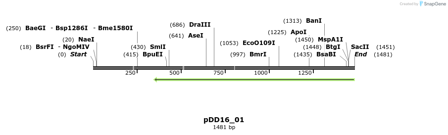 16414_map