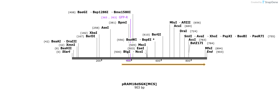 164143_map