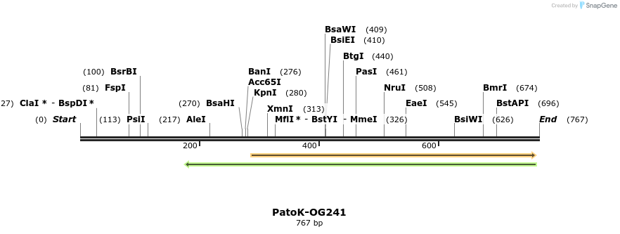 164157_map