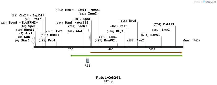 164159_map