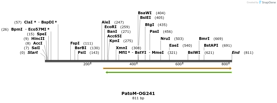 164161_map