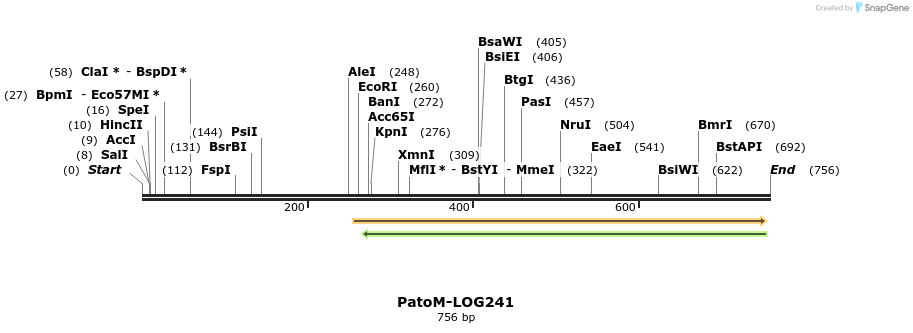 164167_map
