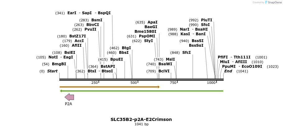 164174_map