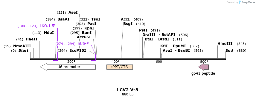 164193_map