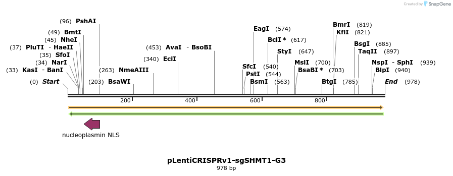 164199_map