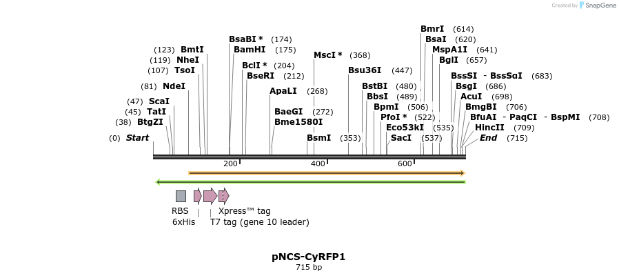 164204_map