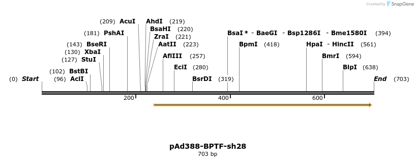 164206_map
