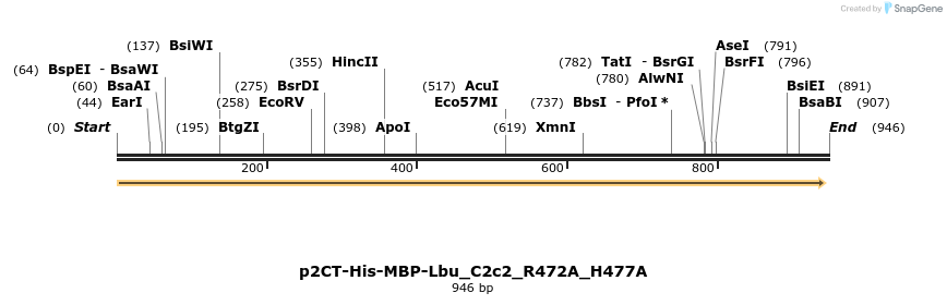 164219_map