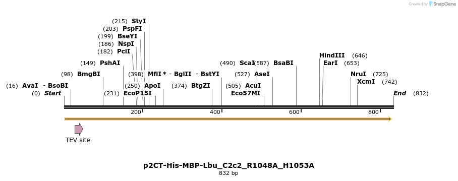 164222_map