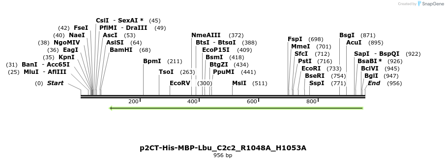 164224_map