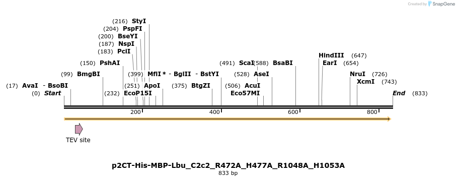 164225_map