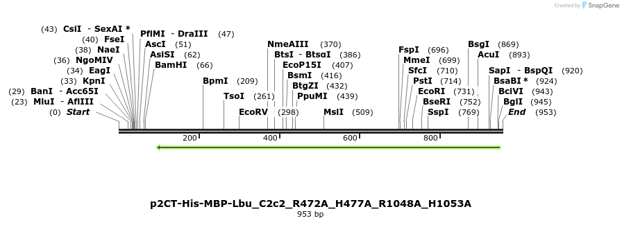 164226_map