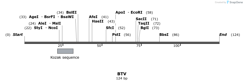164228_map