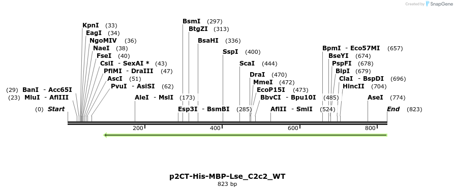 164231_map
