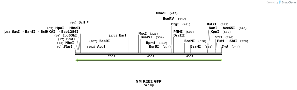 16426_map