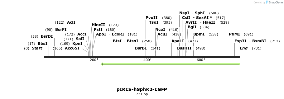164265_map
