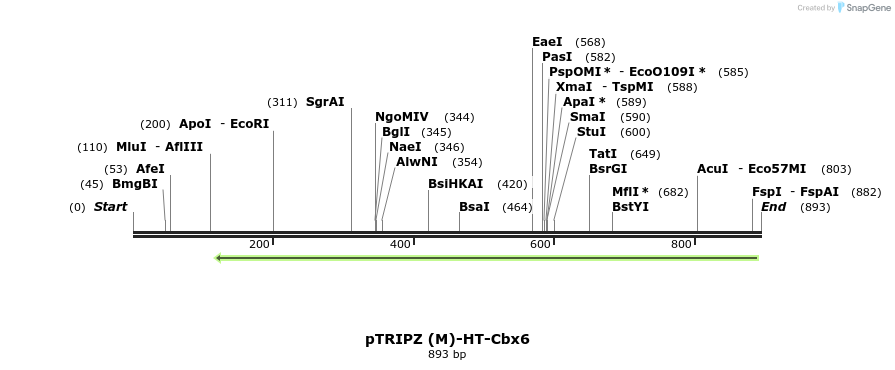 164271_map