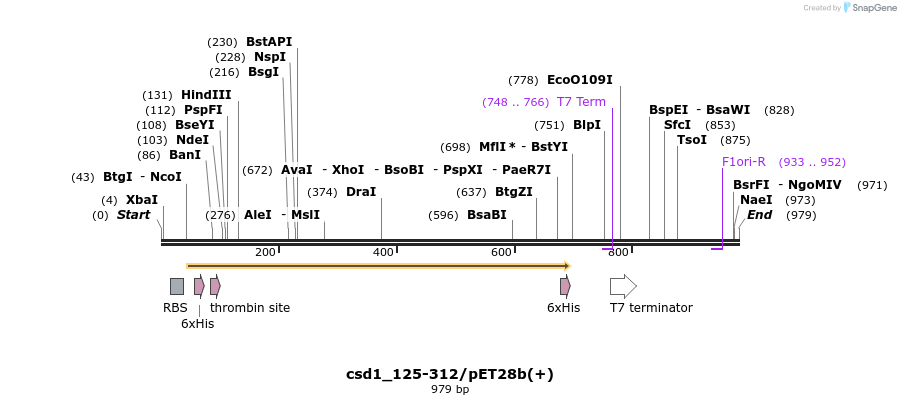 164278_map