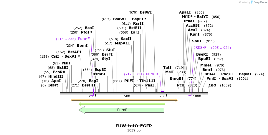 164305_map