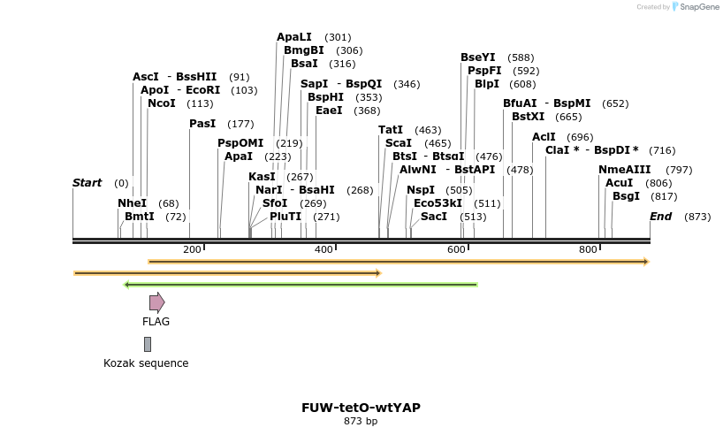 164308_map