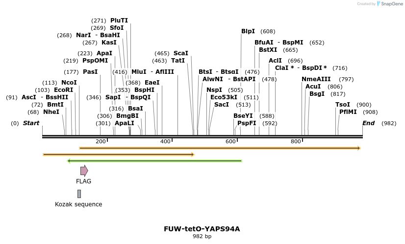 164311_map